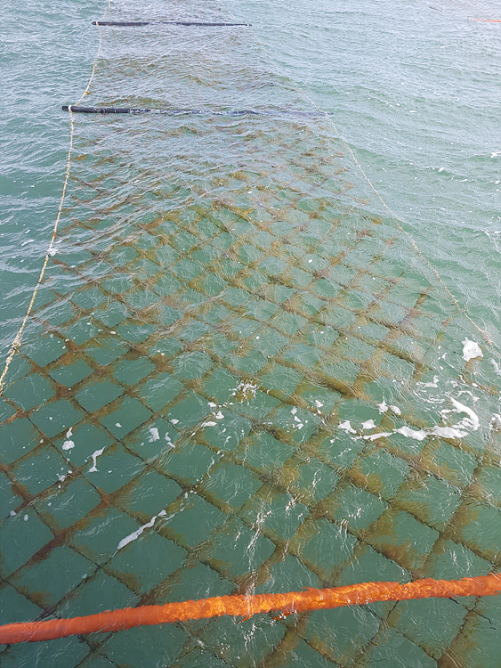 (참고사진)노동진 수협 회장  “기후변화 대응 양식보험 변화 필요”.jpg