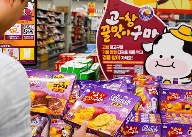 사진1_서울의 한 대형마트에서 롯데웰푸드 ‘고창 고구마 시리즈’를 살펴보고 있는 소비자 모습.jpg