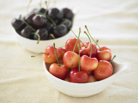 체리가 빨간색이라는 편견을 버려~ 노란색 체리 눈길