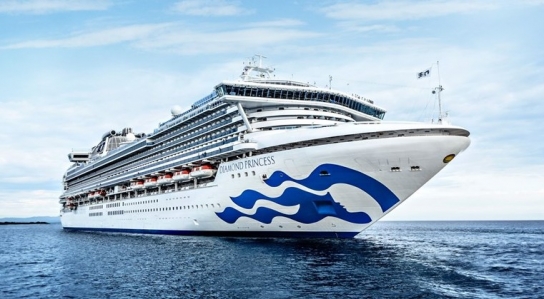 일본 크루즈 내국인 탑승객 국내 이송 여부 논의