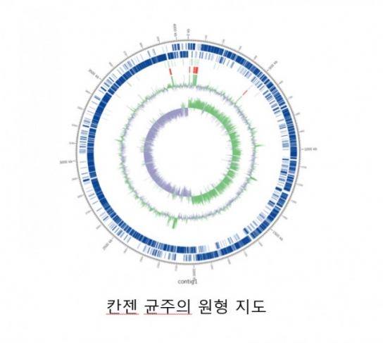 바르는 보톡스 기술 국가 R&D 과제 최종 선정