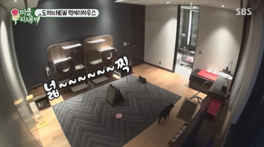 셀럽의 삶 동경하는 밀레니얼 세대…가성비 보단 워너비