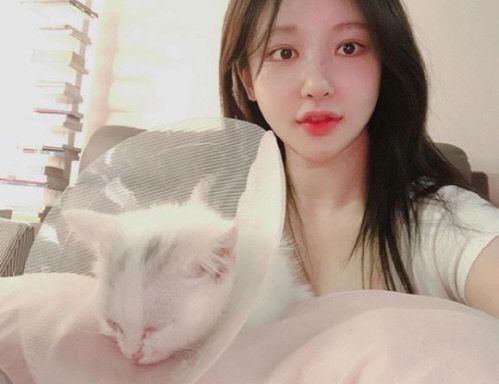 '사망설 오보' BJ 아지땅 대리인 "병원 치료후 퇴원"