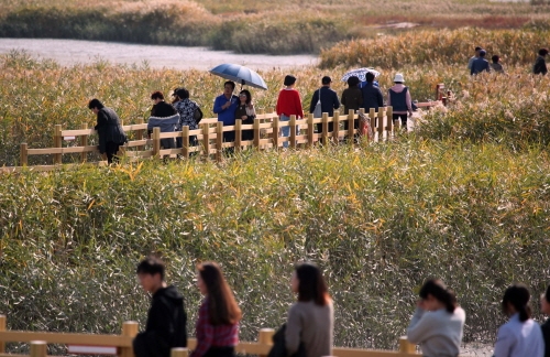 갈대와 바람이 머무는 강진 '송가인'이 떴다