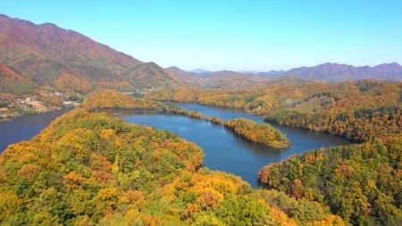 옥천 단풍 여행 '10월 말 절정' 이룰 듯