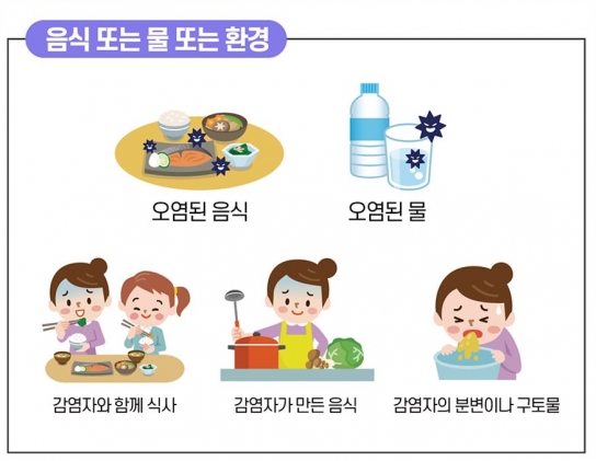 노로바이러스 식중독 '증상이 코로나19와 비슷?'