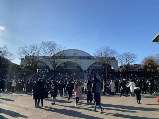 '5인이상집합금지' 비웃는 에버랜드...스키장 풍선효과?