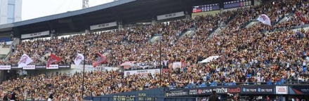 “999만원짜리 야구 티켓 사태… 암표 방지법 발의”