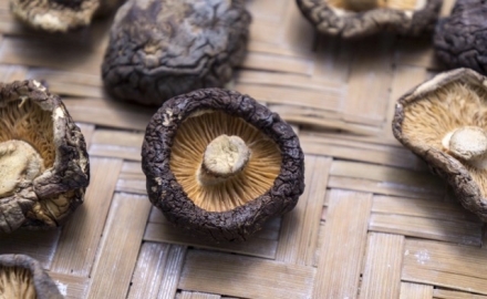 농협 유통망서 중국산 표고버섯 ‘국산 둔갑’…7년간 900톤 대형마트까지