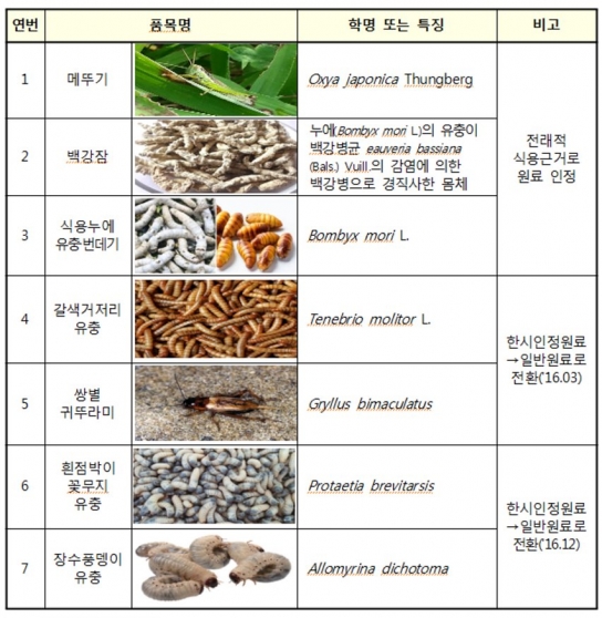 ‘식용곤충’ 추가 3종에 중금속 기준 마련