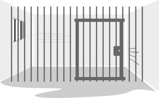 “장기·고액·상습 과태료 체납자, 유치장·구치소 감금 추진”