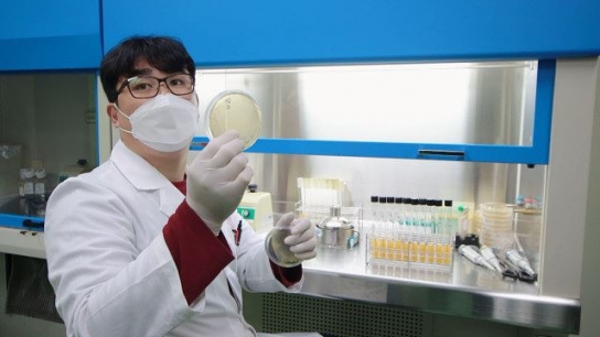 천일염 사용한 발효 음식, 프로바이오틱스 ‘창고’