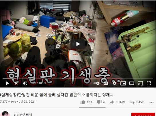 '현실판 기생충'…여성 유튜버 집 무단 점거·절도까지 벌인 일당