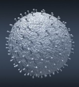 '스텔스 오미크론 변이',해외 유입 확진자 중 4.5%...국내발생 無