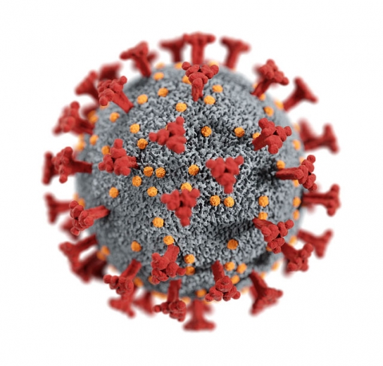 신규확진자 이틀 연속 30만명 넘어...오미크론 정점?