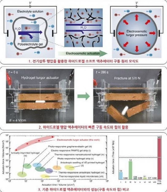 서울대 공대, 짧은 시간 큰 힘 내는 소프트젤 액추에이터 개발