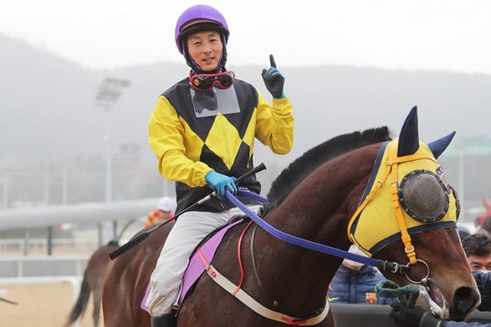 1분기 성적 고공행진 중인 서울경마 주역들