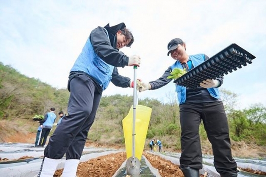 KT&G, 잎담배 농가 이식 봉사 진행…17년 이어온 온정 손길