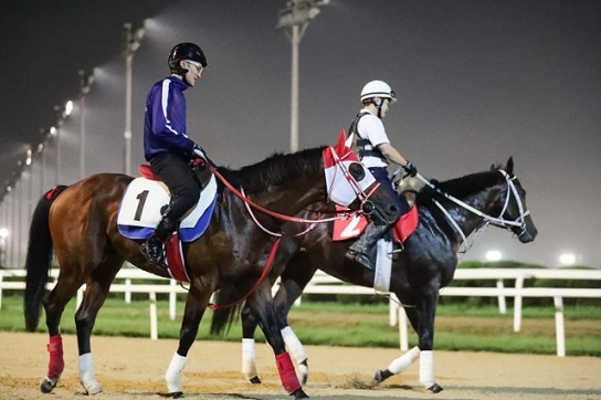 '코리아스프린트의 뜨거운 열기' 코리아컵 10일 개최