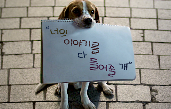 내년 1월부터 자살예방 상담번호❲109❳로 통합