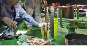 면세유 빼돌리려고 연료통에 쇠말뚝 넣은 선장 적발