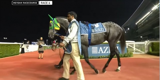 국산 경주마 ‘벌마의스타’ 두바이 무대 두 번째 도전