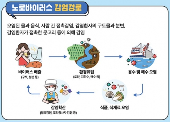 겨울철 노로바이러스 주의 당부…가열조리용 굴은 반드시 익혀야
