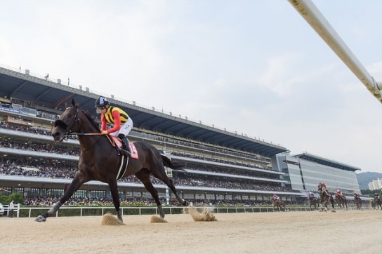 K경마의 글로벌 축제, 코리아컵&스프린트 9월 8일 개최