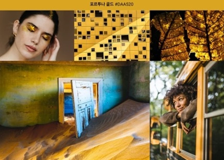 셔터스톡_2021 컬러트렌드_보.jpg