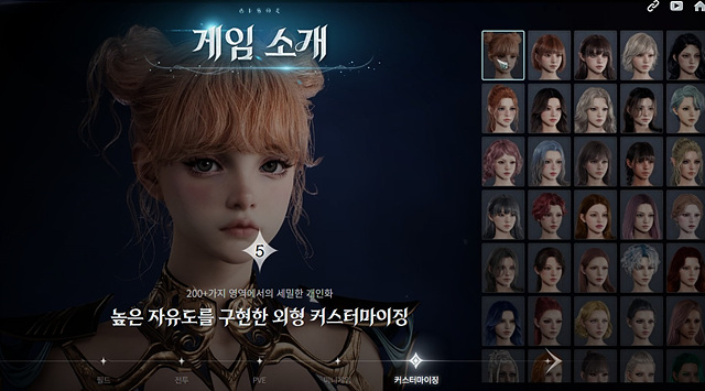 [엔씨소프트] 아이온2 커스터마이징.jpg
