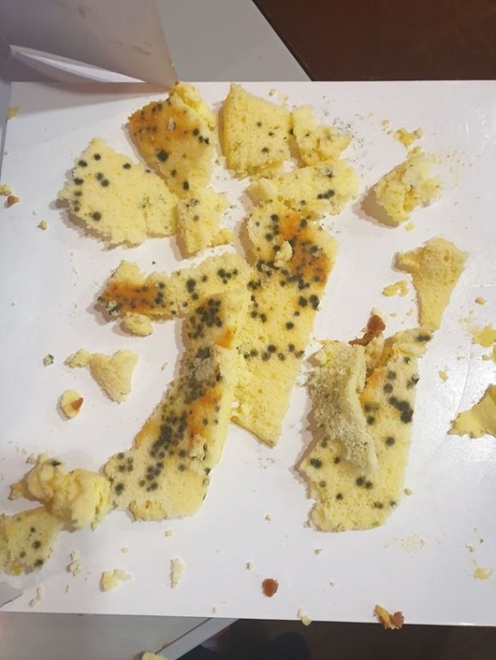 [단독] 치즈케이크 속 곰팡이... '제가 진상일까요'