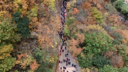 지리산 회남재 가을 숲길 추천