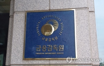 감사원, 내달 금감원 예비감사 착수…중간발표·소비자보호 정책 집중 점검