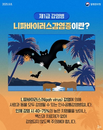 치명률 최대 75% '니파바이러스감염증'…제1급 법정감염병 지정