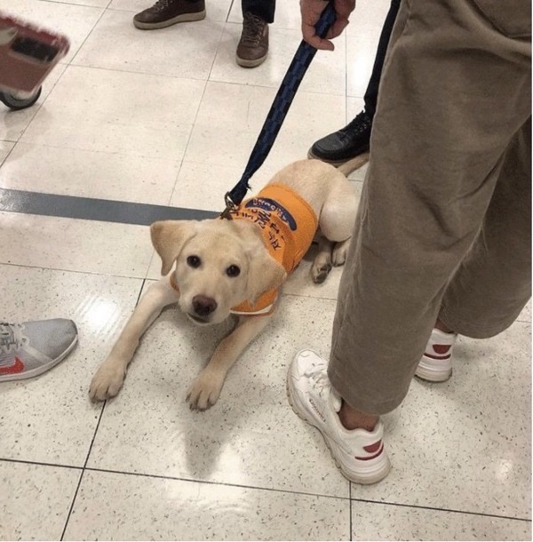 [단독] 롯데 유통 “조끼 사태 논란”, 이번이 처음이 아니었다