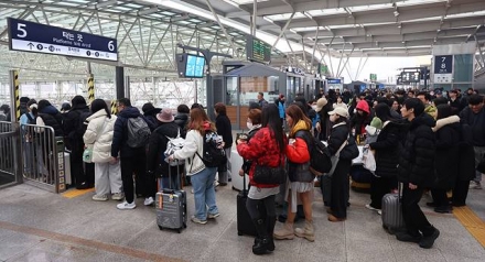 명절 열차표 못 구해 발 동동인데… 최근 5년 노쇼만 195만장