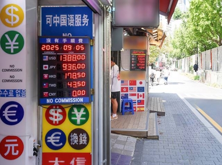 관세청, 환전영업자 불법행위 집중 단속…31곳 적발·제재