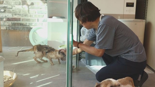 영화 ‘고양이에게 밥을 주지 마세요’에 ‘별점 테러’
