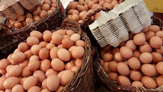 구운달걀 등 알가공품 업체 점검결과…위반업체 3곳 적발