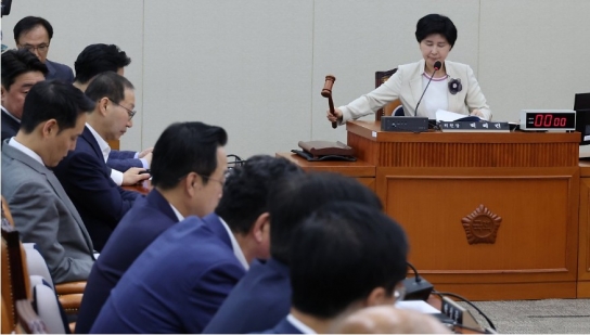 국정감사 증인 채택된 최정우·정몽규 회장...'마약 혐의' 남태현도 참고인 출석