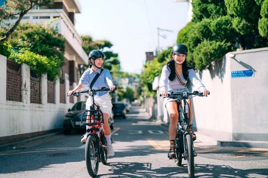자전거 교통사고 5년 전에 비해 8.6% 감소
